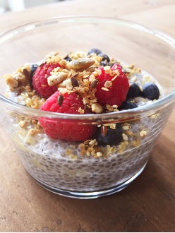 Chiapudding belly balanca